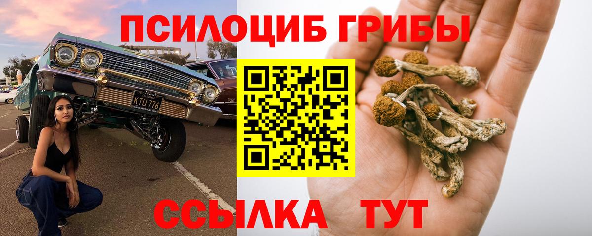Галлюциногенные грибы мухоморы  Вход с VPN  Галлюциногенные грибы Psilocybine cubensis  Хасавюрт 